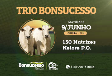 LEILÃO TRIO BONSUCESSO - MATRIZES